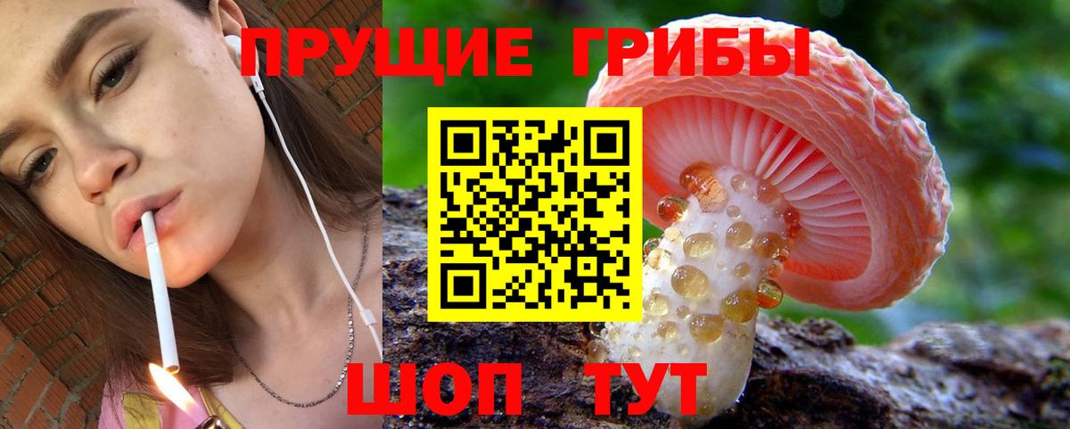 Таганрог  Галлюциногенные грибы Psilocybe  Псилоцибиновые грибы ЛСД  Вход с VPN 